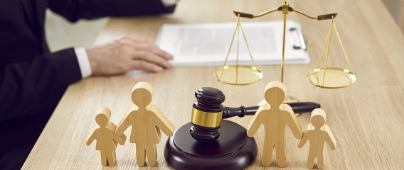 Child Custody Lawyer