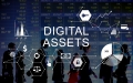 Bigstock Digital Assets Business Manage 126743492