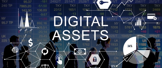 Bigstock Digital Assets Business Manage 126743492
